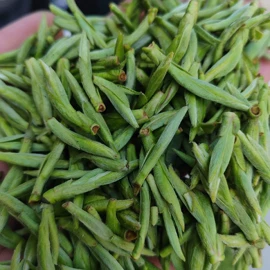 白茶;红茶;乌龙茶