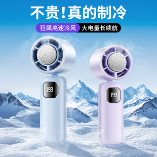 狗狗美容护理工具