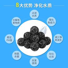 �~��������V���^�V������ˮ�����ˮ�����������ħ��S��ֱ�N