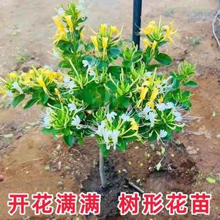 �ļ����y�����ʳ���ݲ���������S�׽��y�������ͺ��ͺ�ͥԺ����