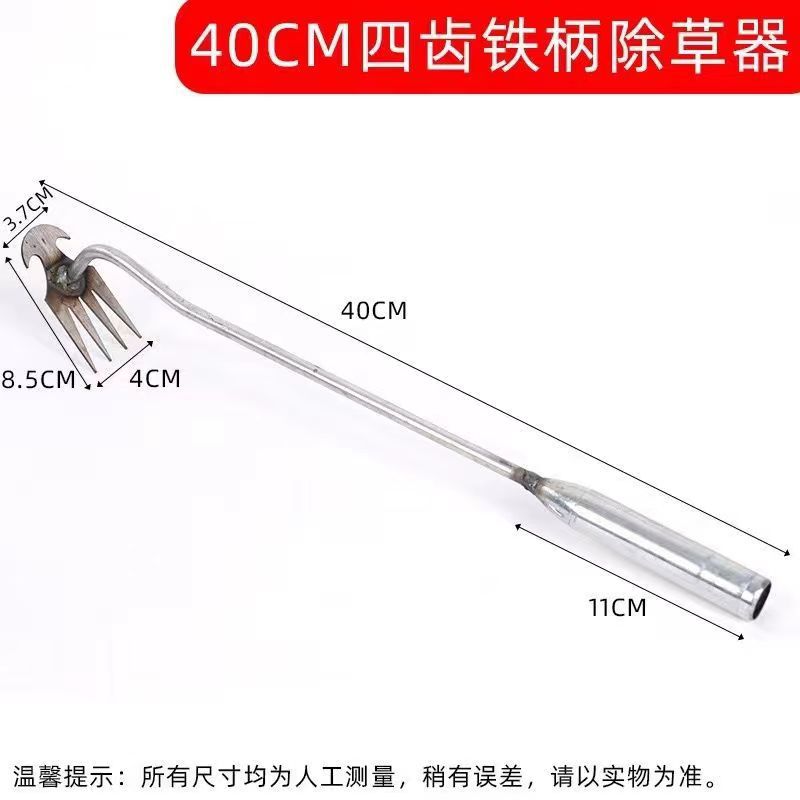 微信图片_20240312063441