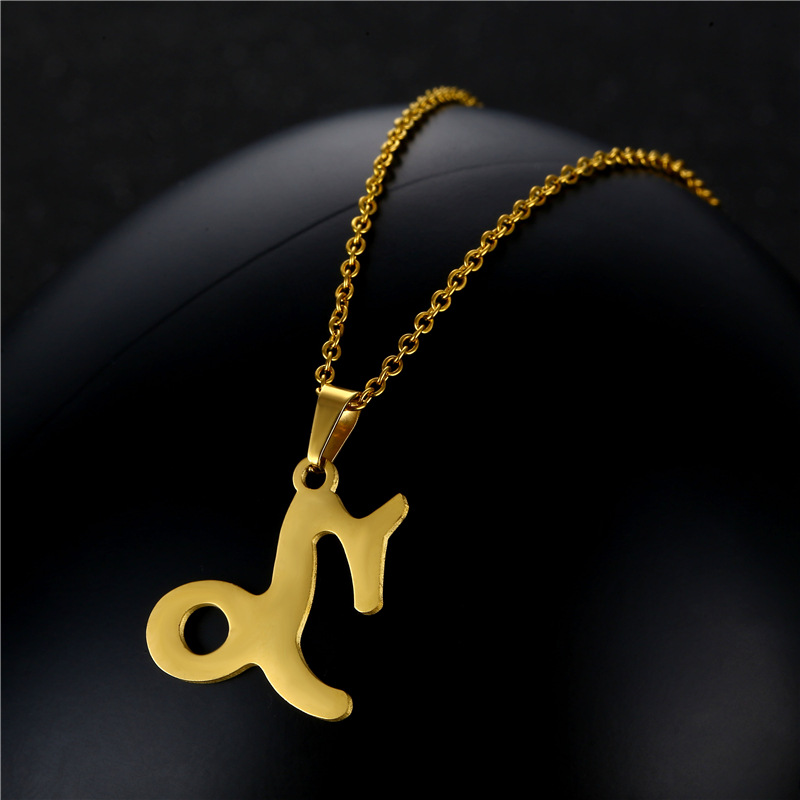 twelve constellation Capricorn pendant stainless steel necklace earrings set