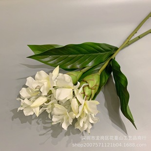 ���滨 �����׽��� �F����ʽ����ʽ���ĘӰ巿�Ƶ껨ˇ�b�Ʒ�[��