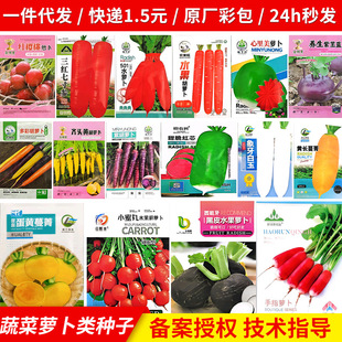 ˮ���}���N�Ӵ�ȫ�tƤ�t���}���N���������ļ��}���N�Ӵ�ȫ�F؛