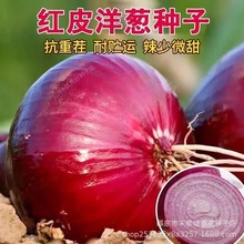 �tƤ���[�N����Ƥ���[�N������ɫ�A�[�＾���[���ļ��߲˷N��