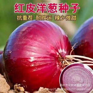 �tƤ���[�N����Ƥ���[�N������ɫ�A�[�＾���[���ļ��߲˷N��