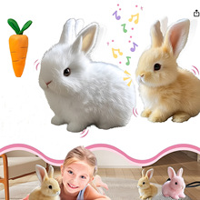 2026������