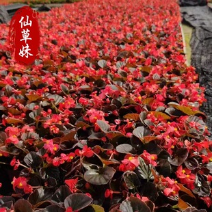 �ļ����Ď��ﺣ�Ĳ������ذ��ļ��_���̨ͥԺ�͟��ͺ�����������