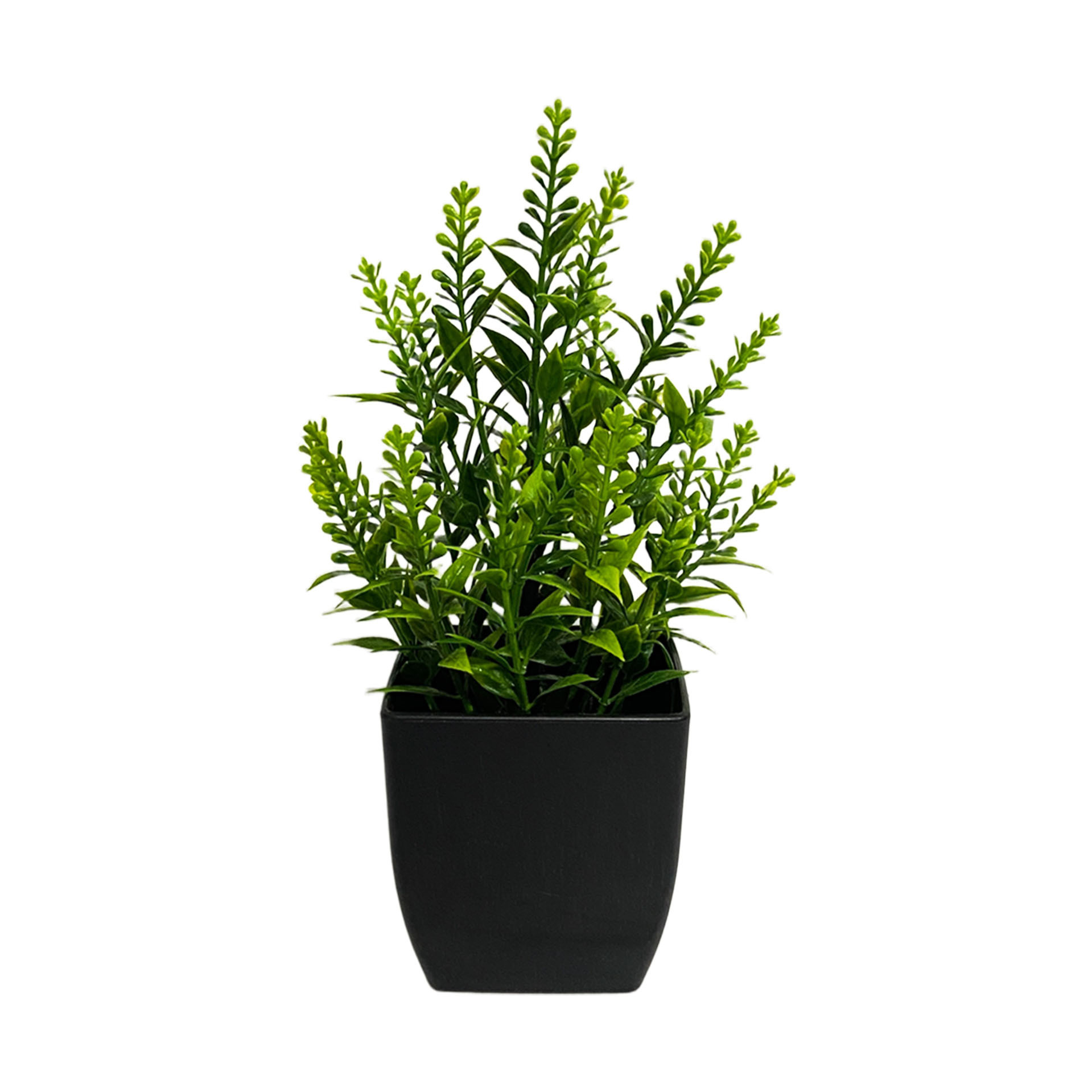 라벤더 화분-블랙 화분 20cm