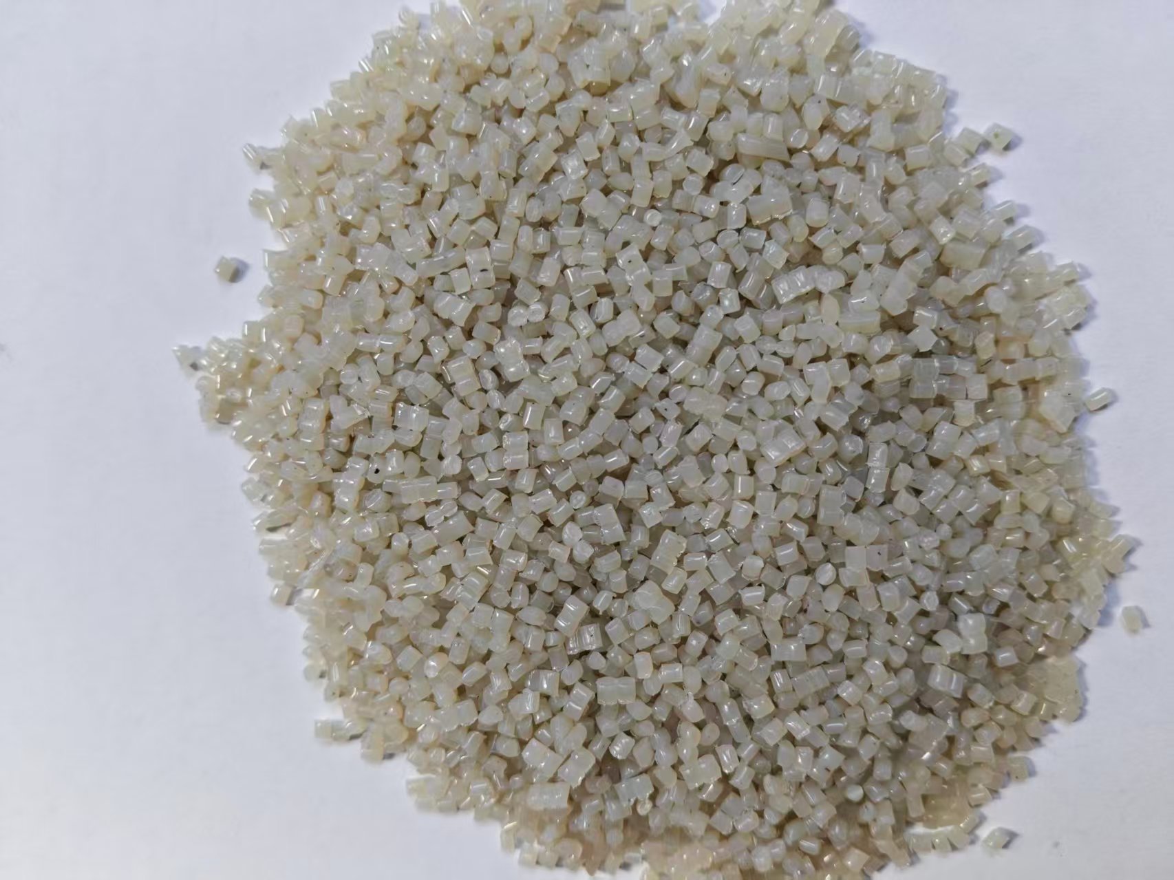 微信图片_20250630201436