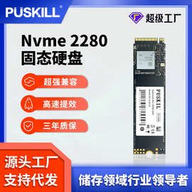 PUSKILL/浦技M.2NVME固态硬盘 SSD256G512GPCIE接口固态硬盘批发