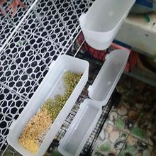 ����ʳ���Ϻ�����ιʳ�����ӻ\��Ʒ�þ�ِ���϶��N��ι�Zʳ