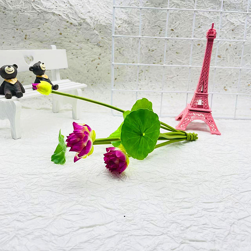 微信图片_20230628194555_副本