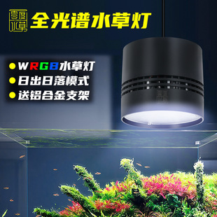 ����~��ledˮ�ݟ�ȫWRGBȫ���V�~�ן��ݸן�֧��Ͳ�������̦��