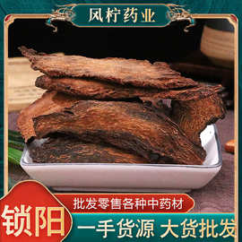 中药材批发锁阳片 锁阳个泡酒料各种规格量大从优锁阳品种齐全