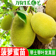 ���}����������޽���ľ���}���R������1̖�S��t������԰��]