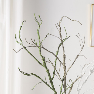 ����ֲ��ٿ�֦�廨��Ŀݘ�֦ˇ�g�bl�ݘ���쾰̦�\֦�l���l