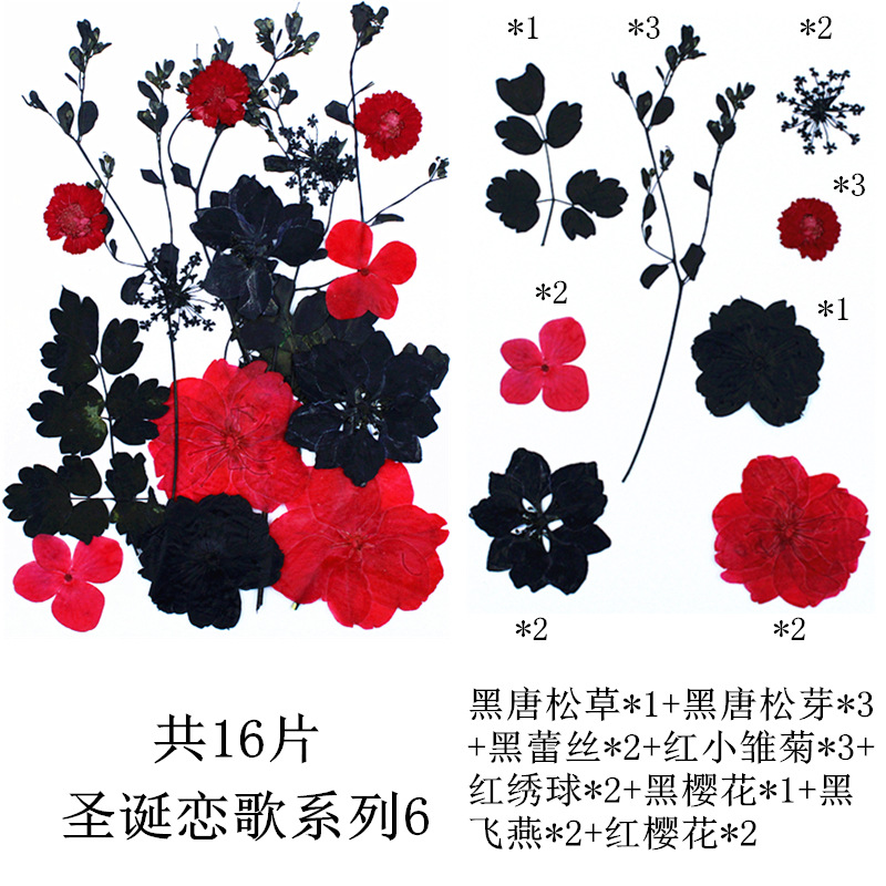 크리스마스 사랑 노래 시리즈 6