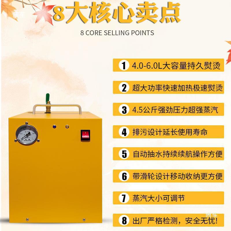 Energy-Saving Factory Boiler Clothing Factory High-Power Iron Industrial Curtain Steam Boiler Fully Automatic Risheng Electric Iron