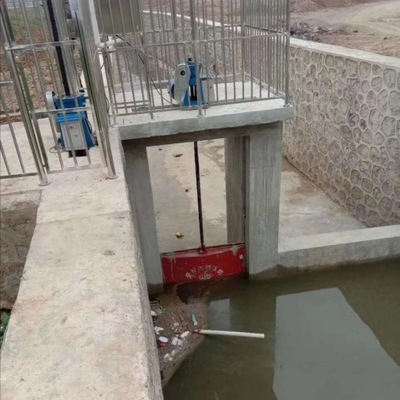 厂家直销启闭机闸门，启闭机机闸一体门适用于渠道河流|ru