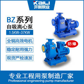 自吸泵50BZ-25直联式铸铁抽水机稳定耐用强劲离心泵工厂批发