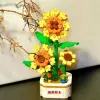 Sticker with sunflower extract