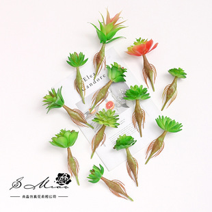 ��Ʒ�ٻ����U���ℓ��DIY��Ʒֲ�辰����Gֲ�S��ֱ�����컨