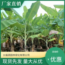 其他园林植物;水生植物;灌木
