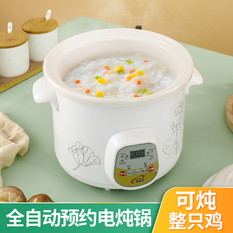 Fully Automatic Electric Stew Pot, White Porcelain Ceramic Casserole, Baby Porridge Pot, Mini Health-Preserving Slow Cooker, Household Small Stew Pot