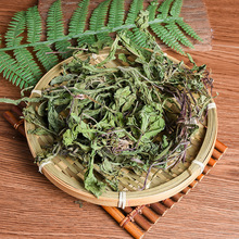 小超1斤包邮 蒲公英茶 蒲公英 产地湖北 叶别 天然长白山