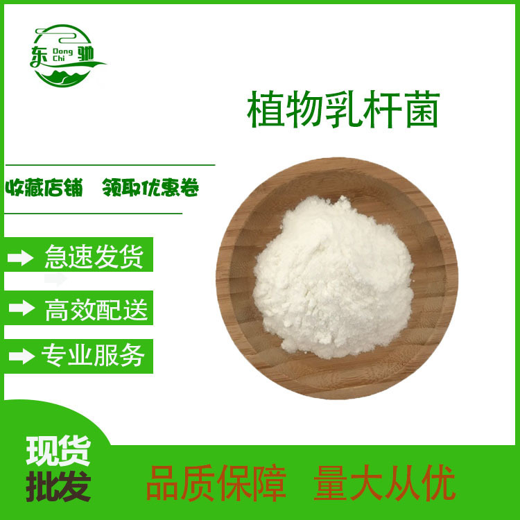 Lactobacillus Plantarum 10 Billion Cfu/G Multi-Specification Freeze-Dried Probiotic Powder Dongchi Biotech In-Stock Supply with Free Shipping