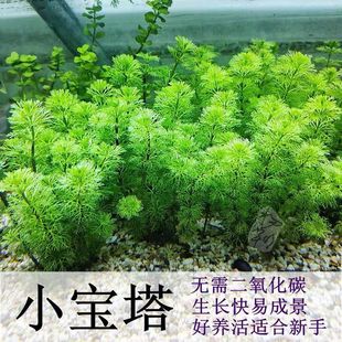 Small Pagoda Front and Rear Landscaping Aquatic Plants Decoration Aquarium Fish Tank Decoration High-Quality Middle and Rear Aquatic Plants Palace