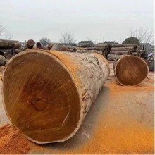 �Ž��B�߶˷���ľ�������}���Ӷ����ȼ܌���ľ�� �ӹ����}��