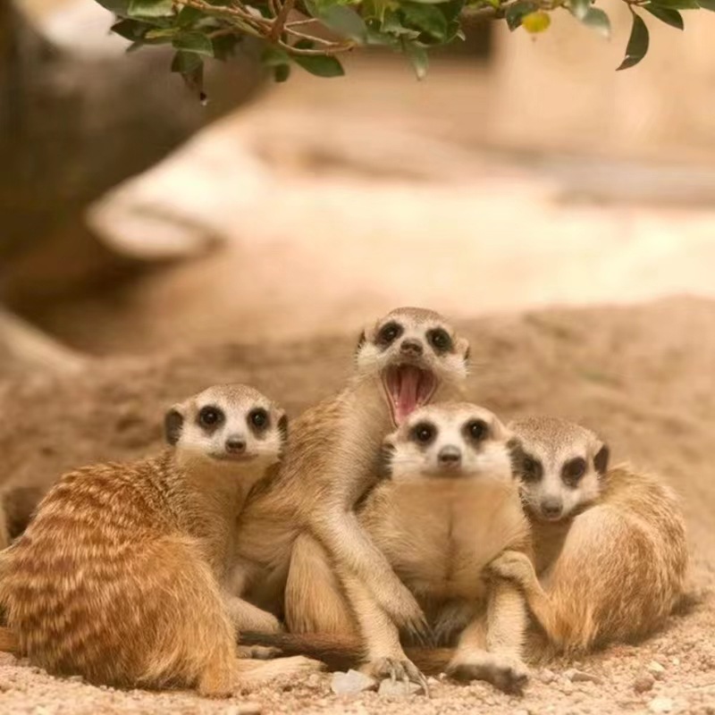 微信圖片_20230329111055