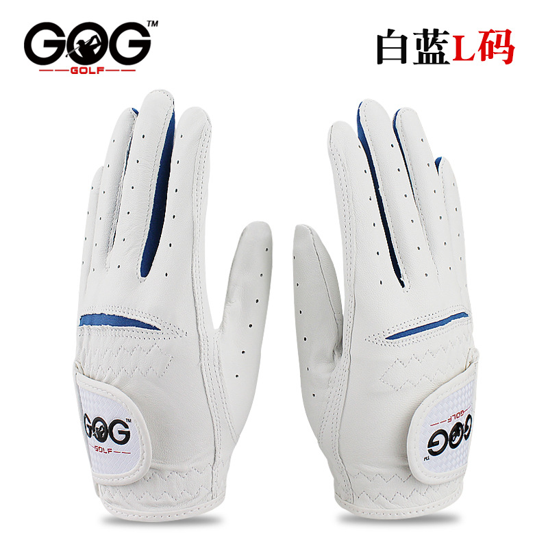 L 사이즈의 흰색과 파란색 쌍