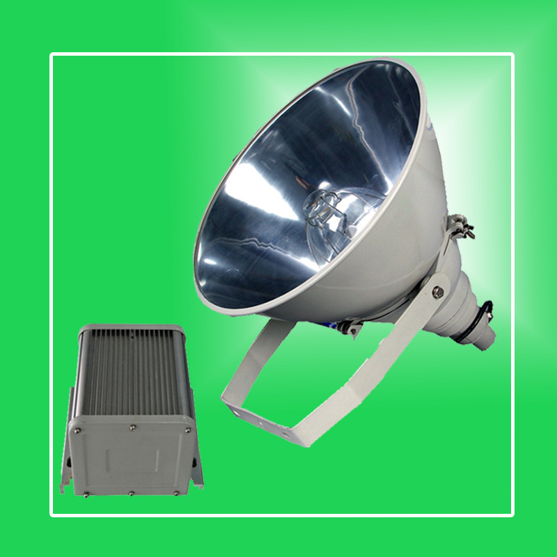 NTC9200�����ͳ�ǿͶ���1000W��±��IP65��ˮ�����������