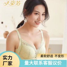 天姿芳8815小胸聚拢收副乳厚杯A手掌杯内衣婴儿棉无磁文胸过安检