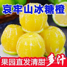 云南哀牢山冰糖橙新鲜橙子当应季孕妇水果果冻橙手剥冰糖甜橙
