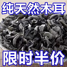 ľ���|����ľ����؛С����L��ɽ�ľҰ��������o��