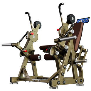 LD-2001 sitting leg flexion and extension training machine