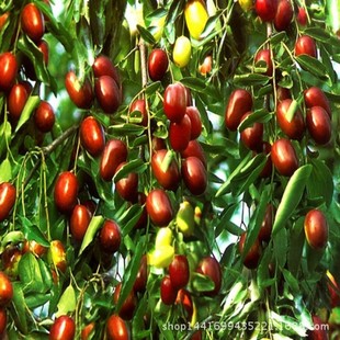 �������lͥԺ������޽ӗ� ������� �����޽��� ������ Ҏ���Rȫ