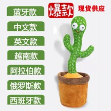 dancingcactus���������ƕ������fԒ�������������նY��ë�q���