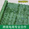 【Color Seal】 Grape leaf fence
