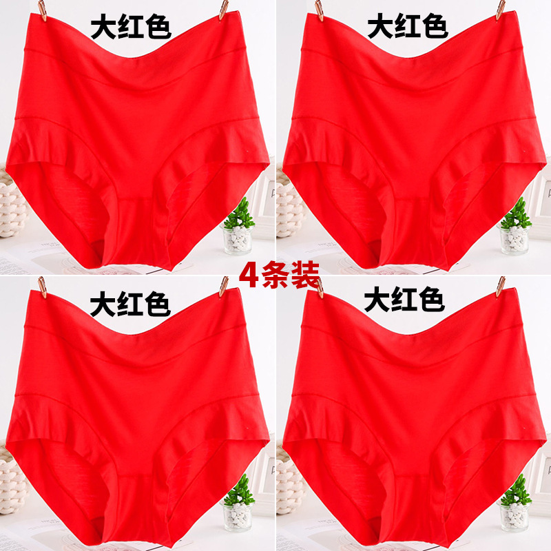 【4줄】빨간색 4줄