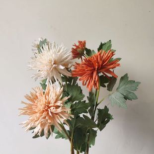 ����зצ�ոߙnֲë���Ҿ��b���ջ�ܛ�b�쾰��ˇ�����ָз��滨