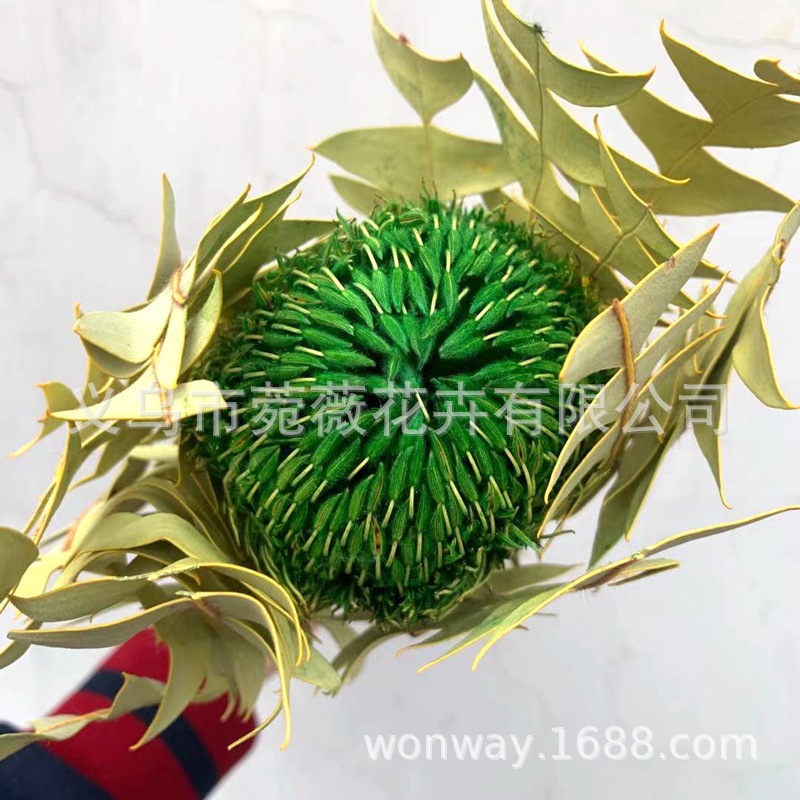 微信图片_20210321204208