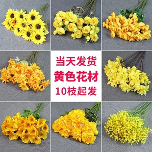 �Sɫ���滨��Y��c���؈������õ���ĵ��õ��������ջ������b�
