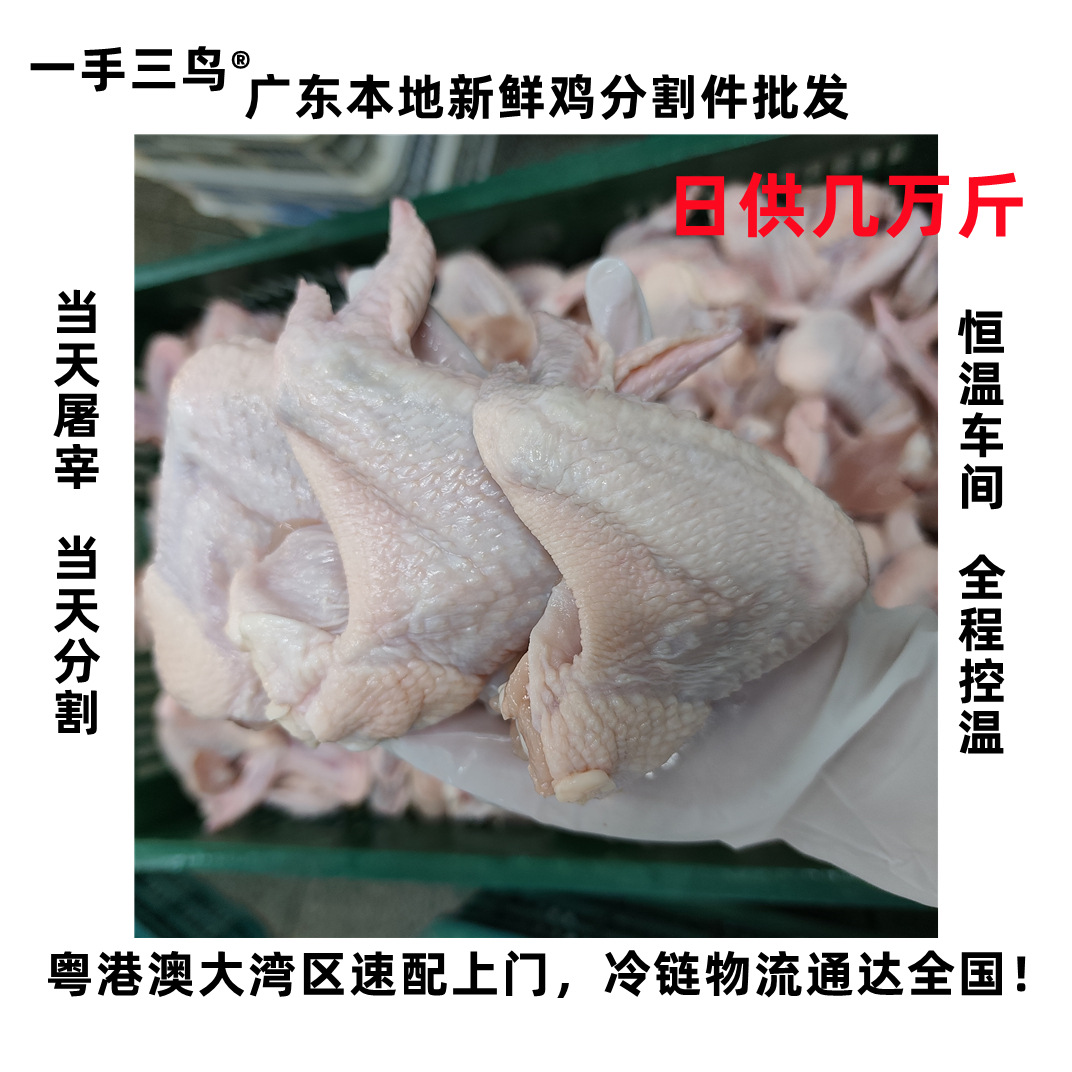 一手三鸟新鲜鸡翅鸡全翅鸡腿鸡中翅鸡翅根鸡翅尖鸡胸肉鸡骨架批发