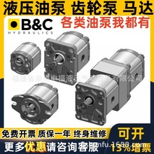 �����B&CҺѹ�����ͱ�BG10 BG20 BG30 MZD/S/1 EZ1 GR1���ﴮ��
