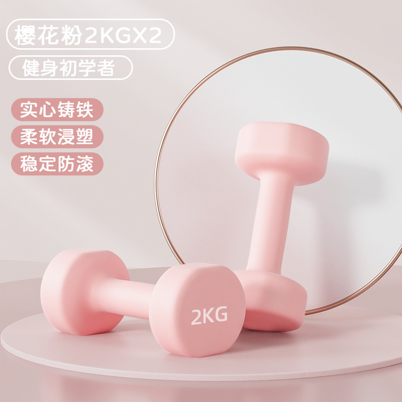 ダンベルの女性のフィットネスの家庭用の器材の子供の男性の純鉄のスーツの組み合わせのダンベルの小学校の腕の筋肉のフィットネス器|undefined
